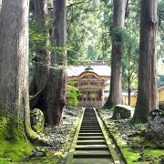 大本山永平寺は苔が素晴らしい