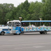 歩いていて見ました