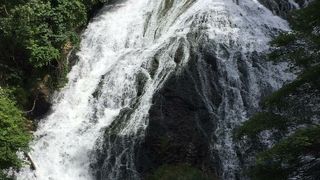 間近に見られる