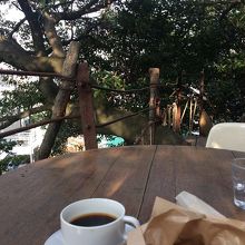 テラスから入り口階段方向。緑満載です。