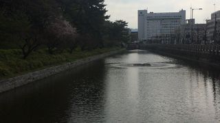 お堀と桜が最高に綺麗