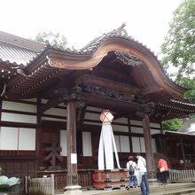 左手に蓮が植わっています。