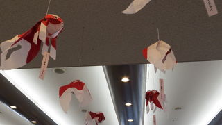 たくさんの金魚がお出迎え