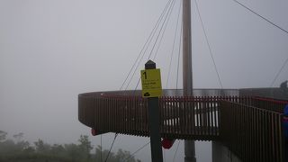 雲海の発生確率は総じて3割程度