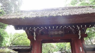 貴重な茅葺きの山門。