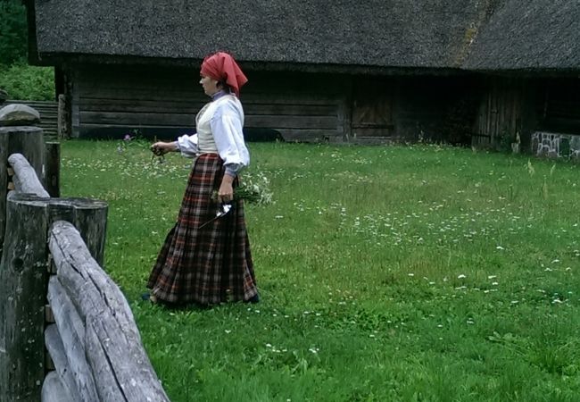 買い物や食事も楽しめる森の博物館