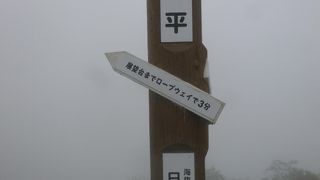 日光市街地は晴れでも、ここは霧