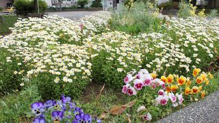 市街地にある緑が多い公園