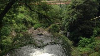 とても涼しいところです