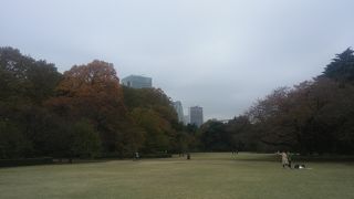 圧巻の存在感。