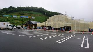 ホウレンソウソフトクリーム