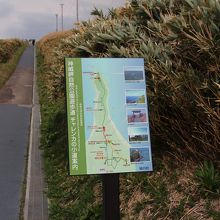 此処からスタート