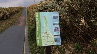 神威岬を味わう遊歩道！龍の背です。