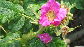 気軽に立ち寄れます。