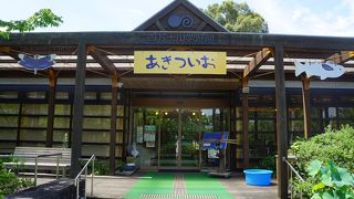 このトンボ愛は半端ではない