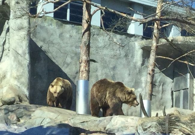 ヘルシンキ動物園（コルケアサーリ島）