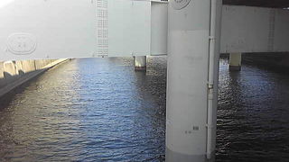 クルーズも面白い