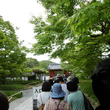 『平等院』のチケット売場行列