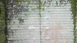 見応えありました