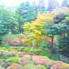 紅葉の日本庭園が素晴らしい