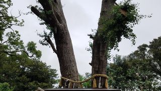 辺津宮近くの縁結びのパワースポット