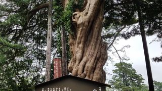 小田原場内のパワースポット