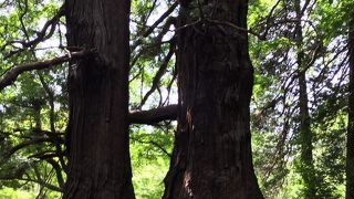 暑い夏にはありがたい。