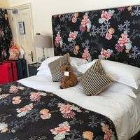 くまちゃんがお出迎え