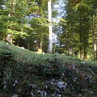 お部屋の窓から