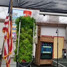 アクティビティセンター