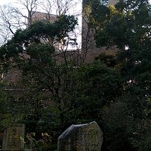 都会にも緑が豊富な空間がありました。