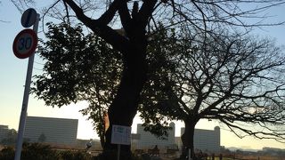 角度によっては