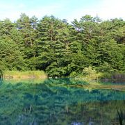 青沼は小さいながら五色沼湖沼群の中でも最も青白色に光っていると言われています