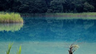 三度目で全ての沼を見てきました