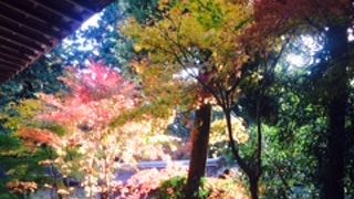 紅葉と風情がたまらない。