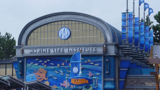 ニモを目がけて混雑