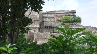 車のライドだから面白い