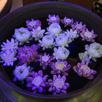 ホテルの所々にお花が