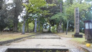 自然を満喫できる広い公園