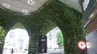 VRが楽しめました