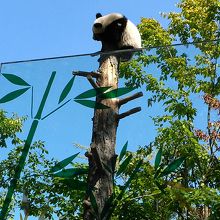 木の上のパンダ