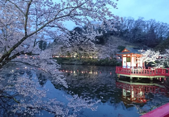 茂原公園 クチコミ アクセス 営業時間 茂原 フォートラベル
