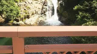 県道の橋からきれいに見えます