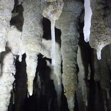 連なる鍾乳洞