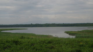 多くの野鳥が飛来する汽水湖