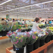 生花コーナーも種類がいっぱい！