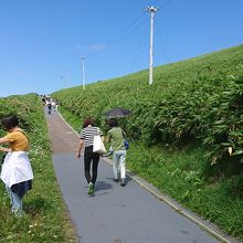 駐車場からの登り口