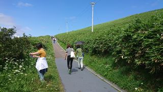 ハードだけれど歩く価値あり