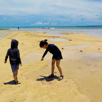 大潮近くの干潮だとこんな感じ。泳げません。楽しいけど