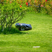 自動芝刈り機。子供たち、欲しいと。笑